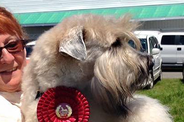 Legally Blond Comet